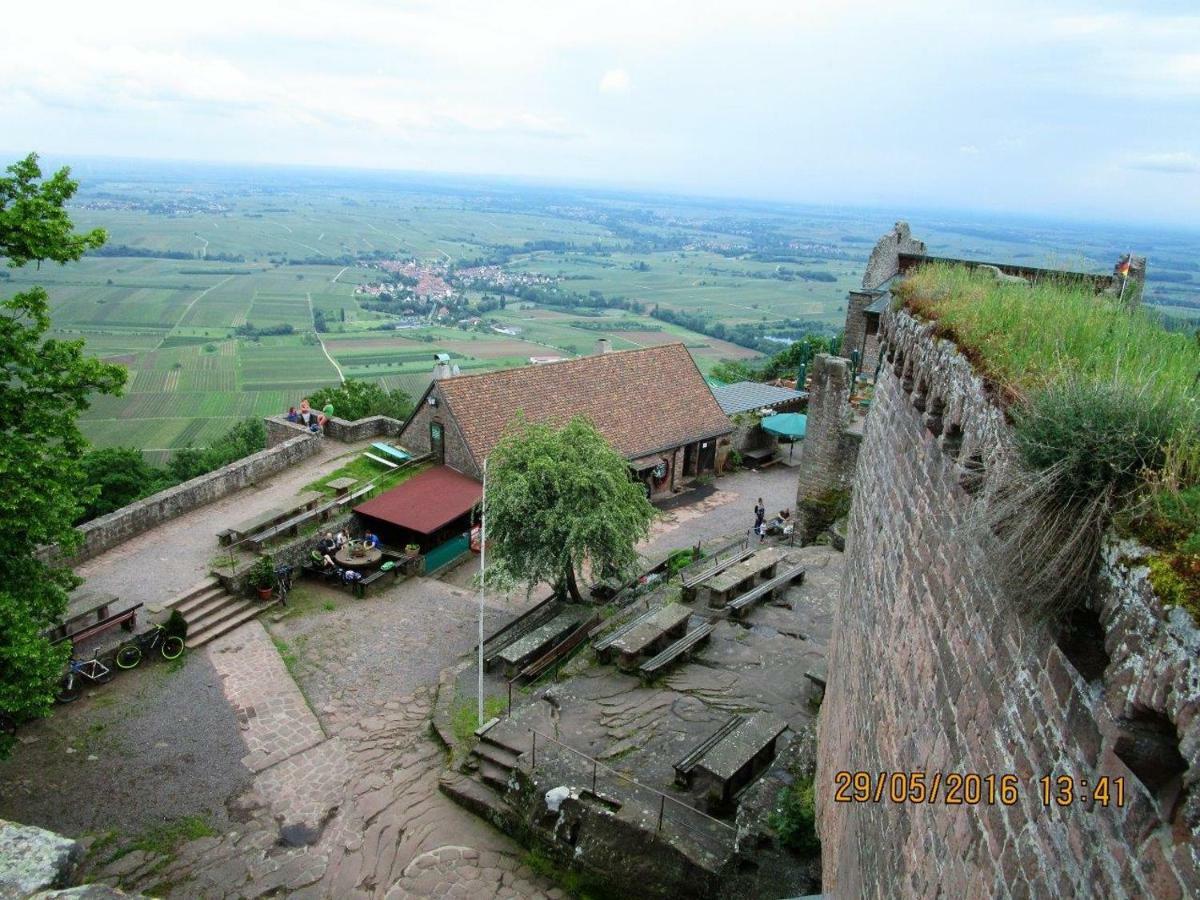 Phoenix Aus Der Asche Rhodt unter Rietburg Buitenkant foto