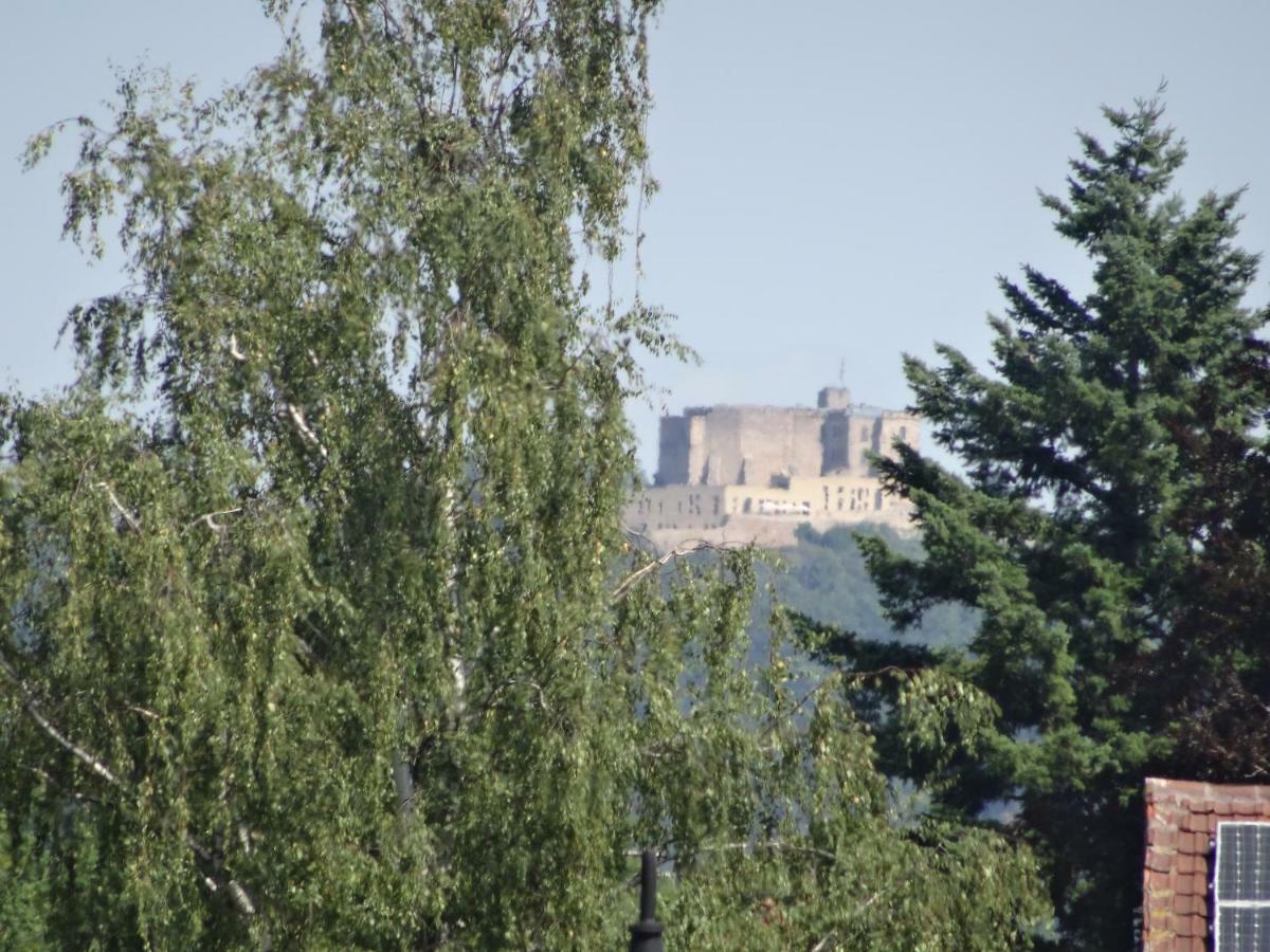 Phoenix Aus Der Asche Rhodt unter Rietburg Buitenkant foto